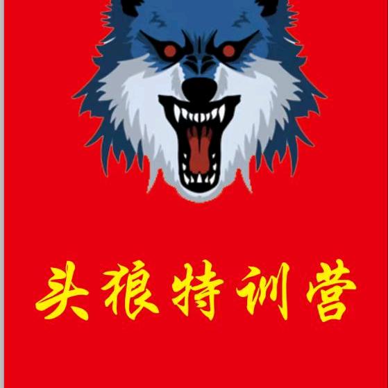 头狼特战军事夏令营