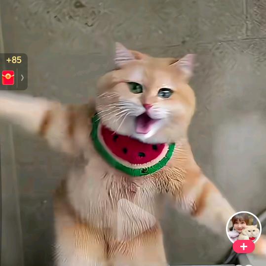 ꪋꪆ꫁⁵²⁰余生🎀安好꧔᭄