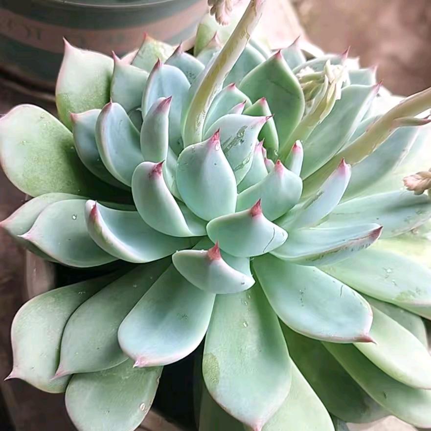 缘分一道河