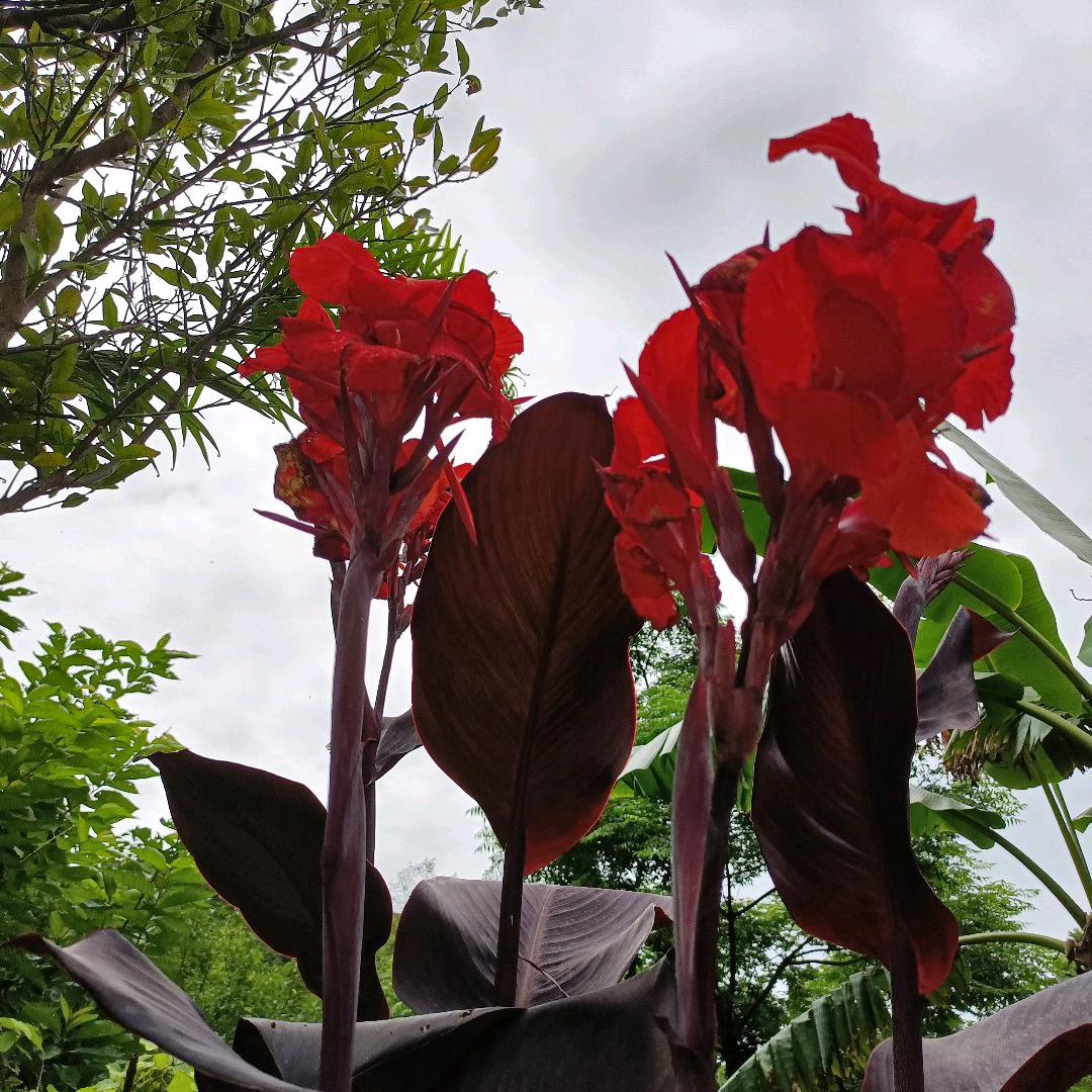 忘掉过去从新开始