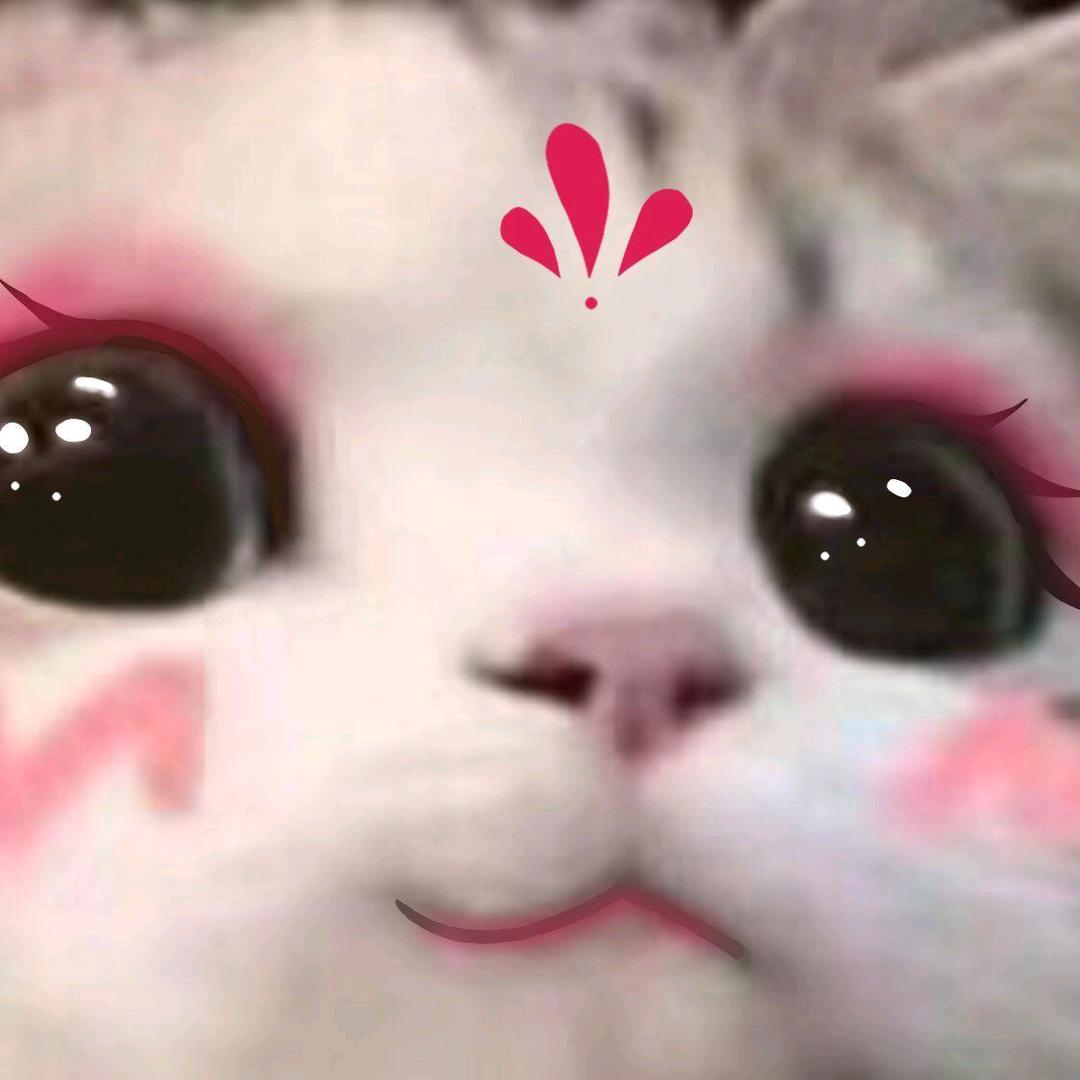 菲常妙