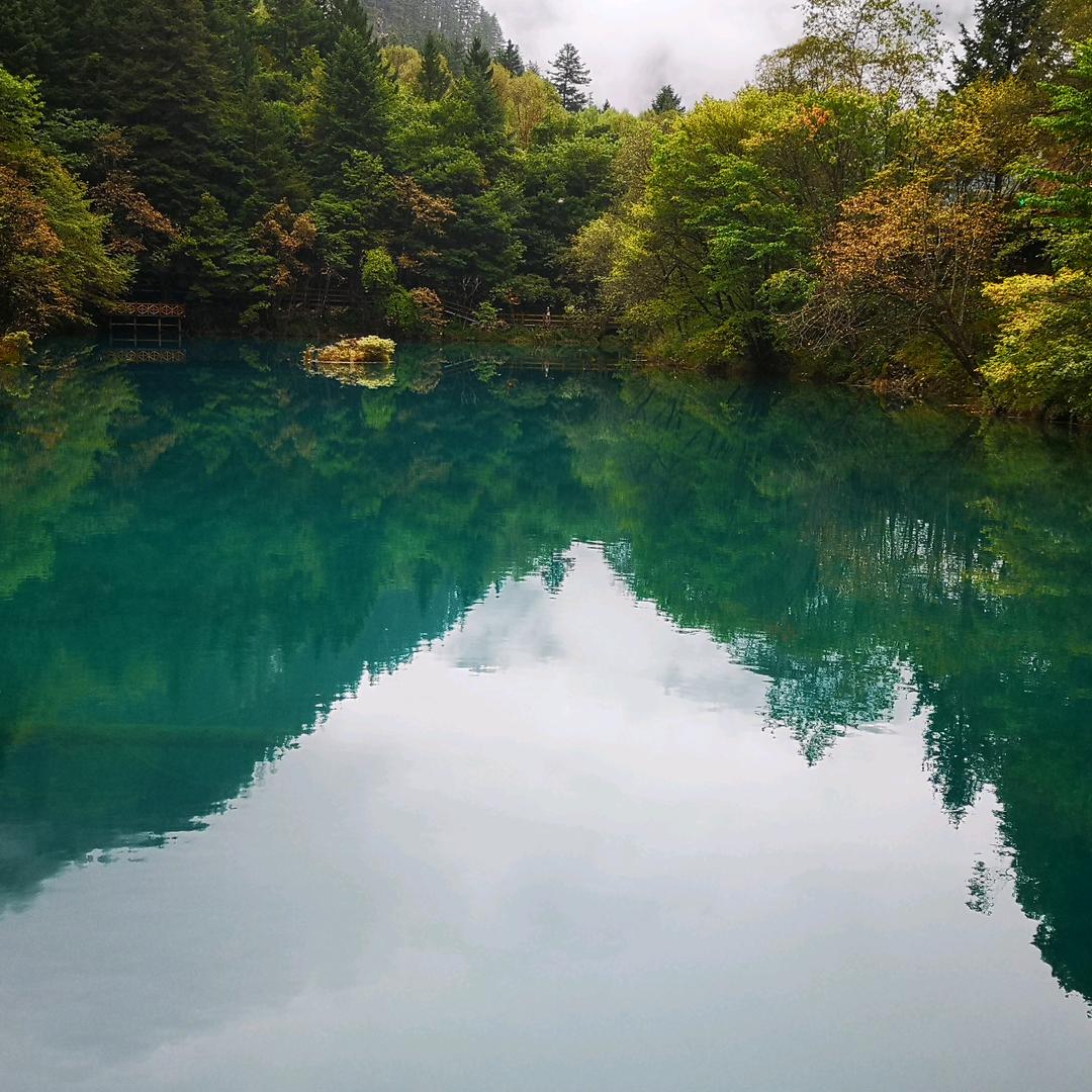 军爷