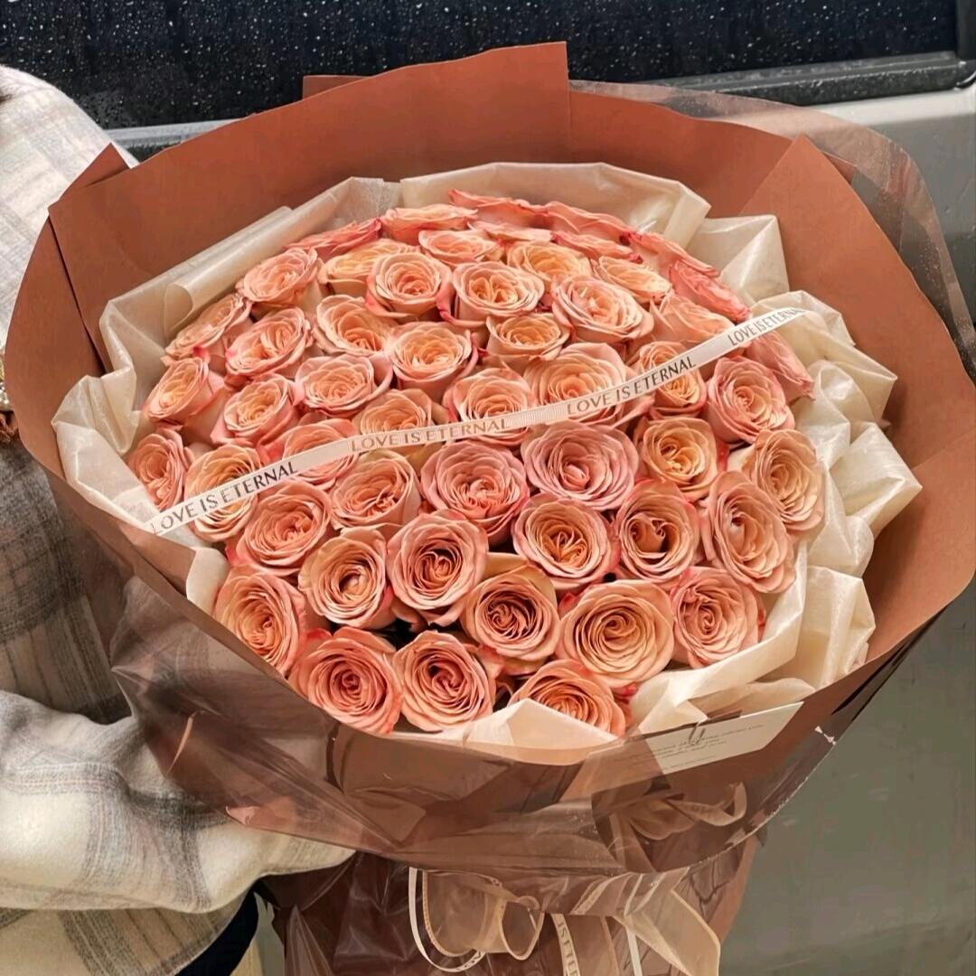 ৡৢﺴﻬ输在喜欢ﺴﻬৡৢ♡