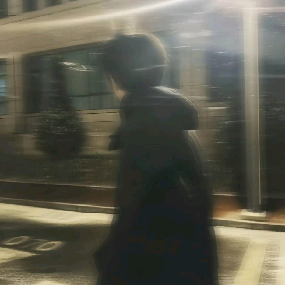 流浪🐟饼
