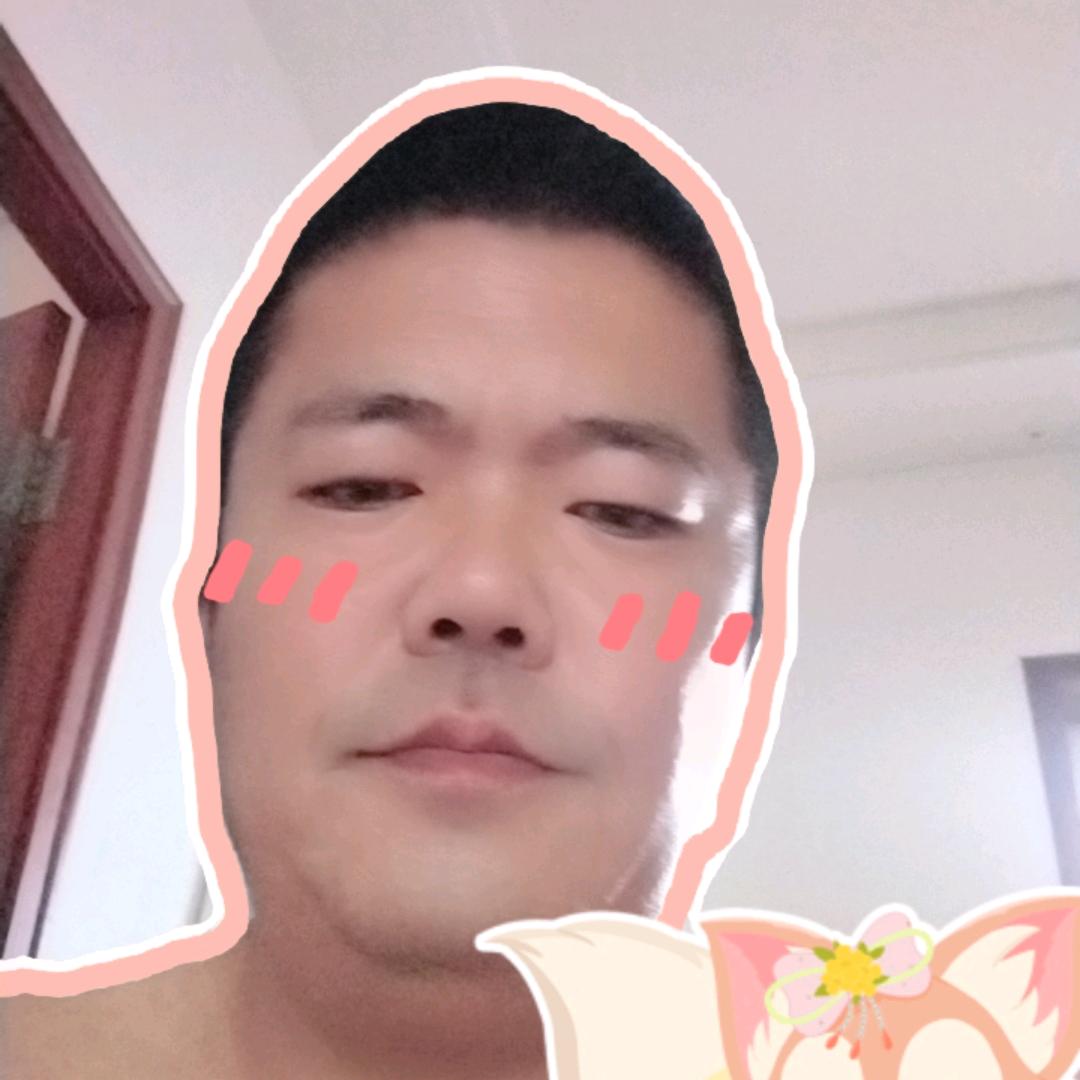 苏旭照