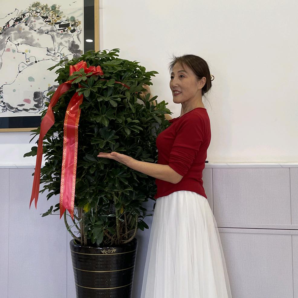 🌹凤姐🌹