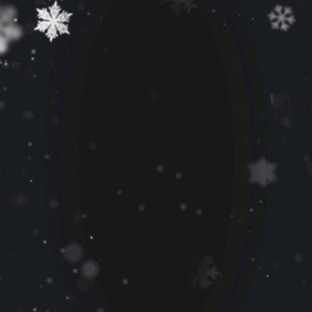 叶落无声（封票）