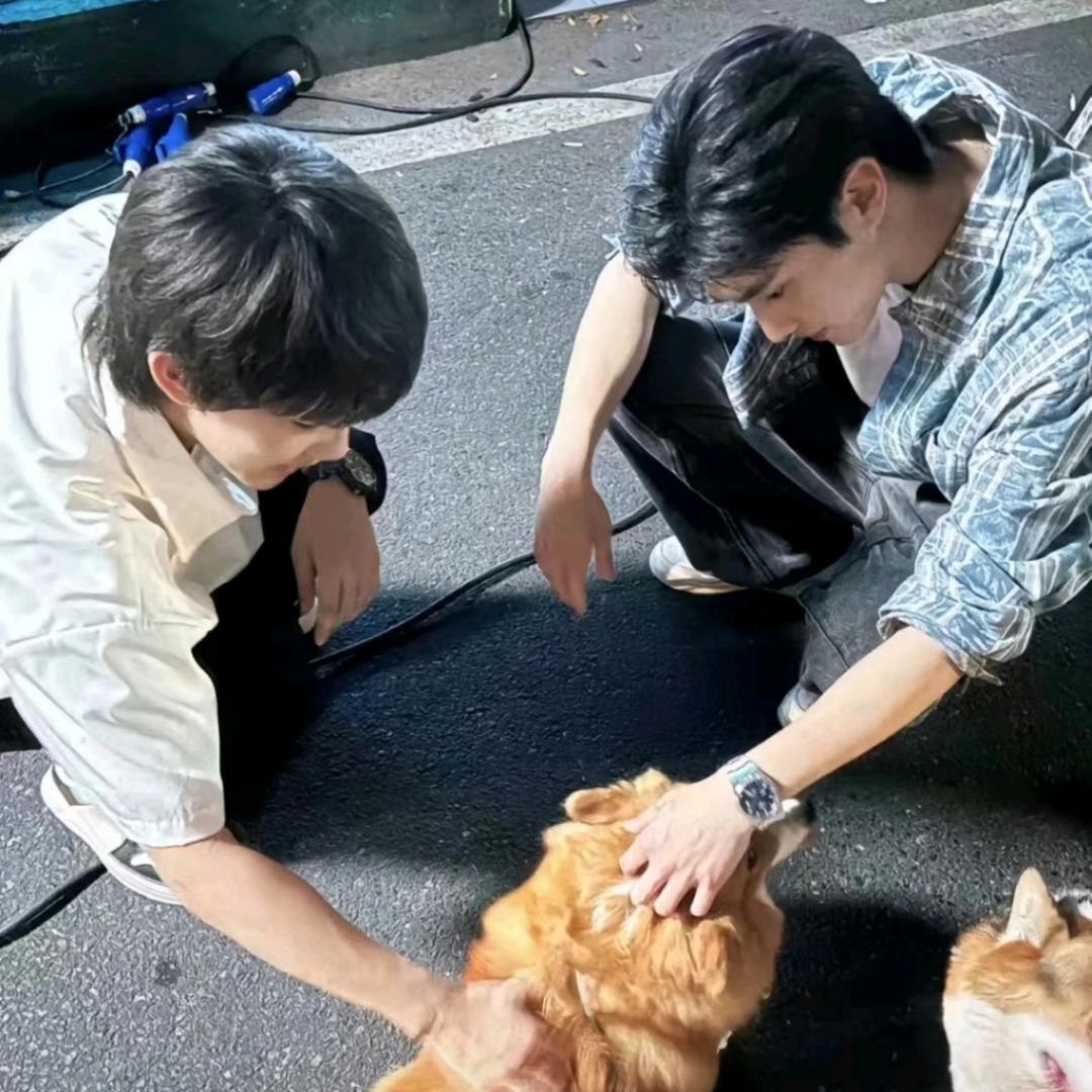 蔺泊舟.