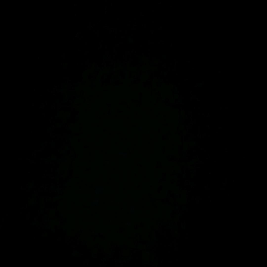 ཉེ་ཚེ་བ་🌿