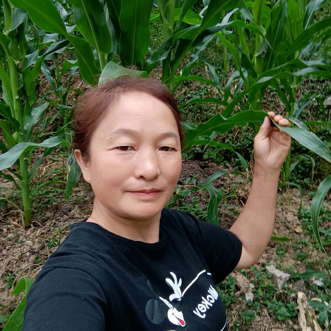 李姐