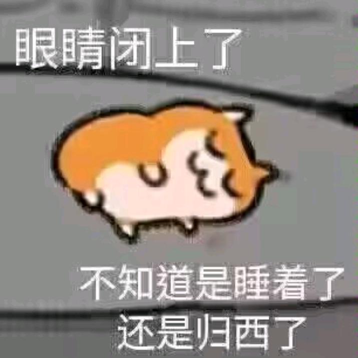 花荇葉❤️
