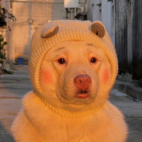给太阳一个微笑😊