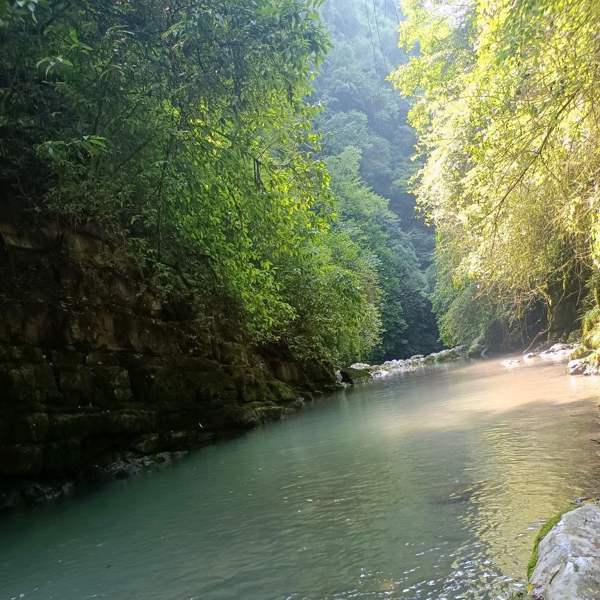 ໑ຼₒ₂5ღ᭄申亇懒蘨🕊꧔ꦿ᭄