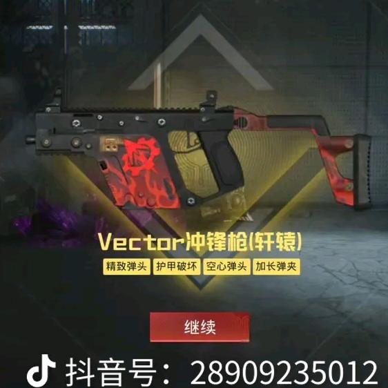 药材苍术的二蛋