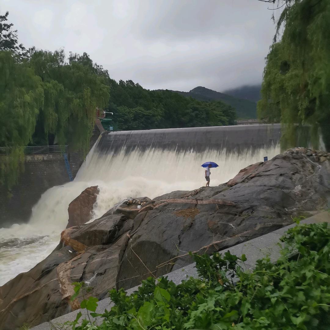 云在青天水在瓶