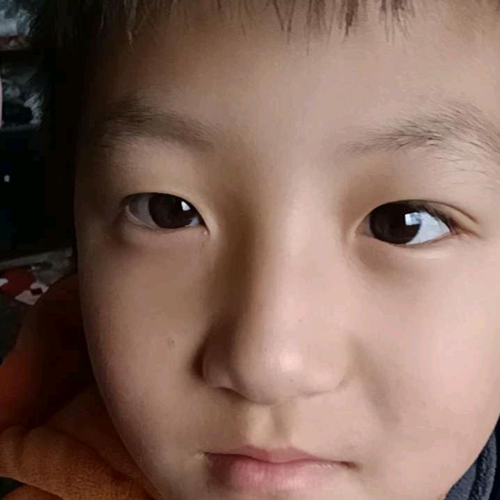 王月丽