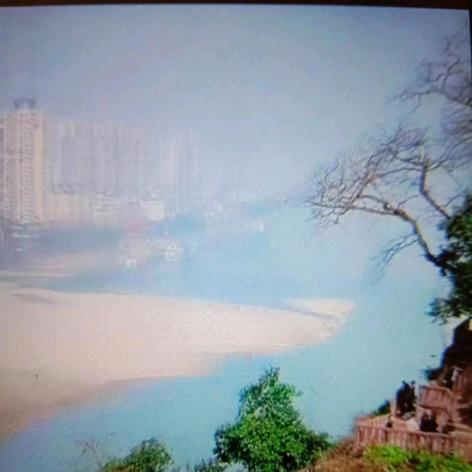 夏天的早晨