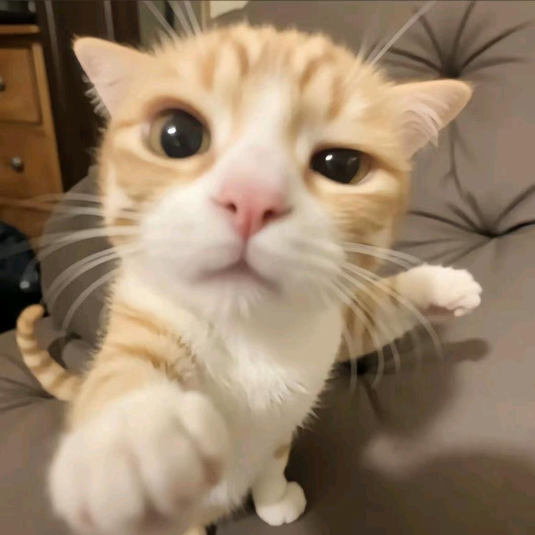 伡