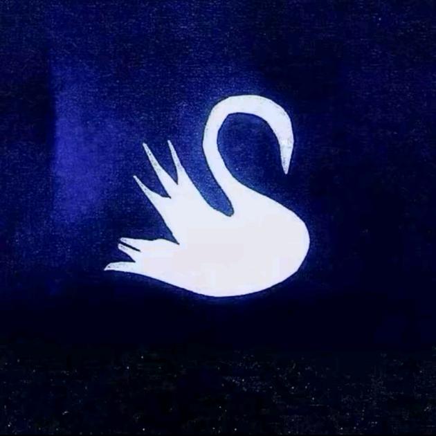 我爱的宝
