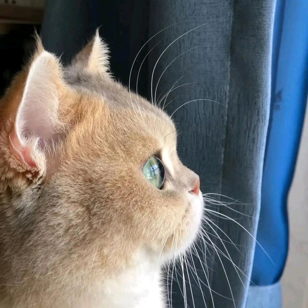 算了