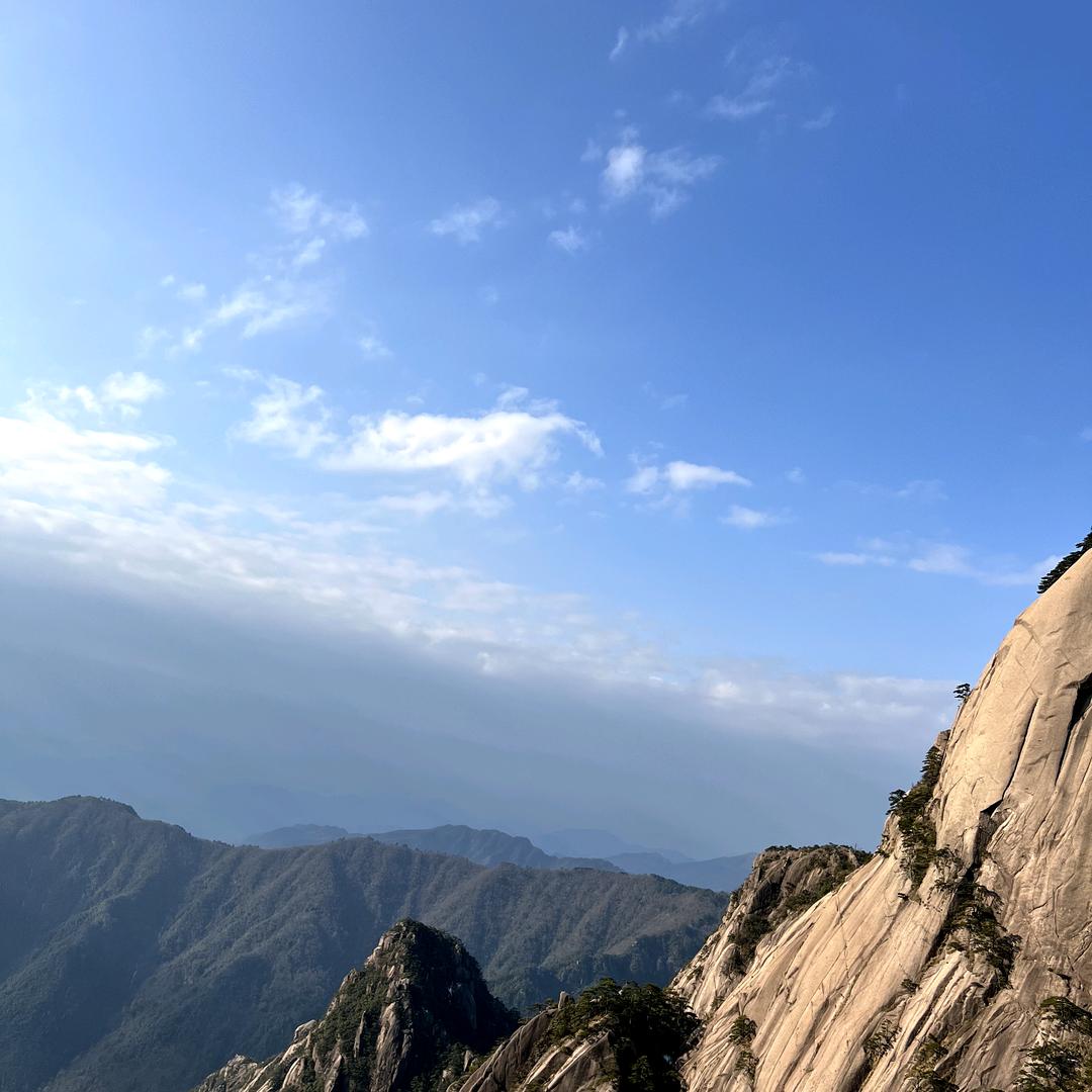 🌿🌿百事可乐丷