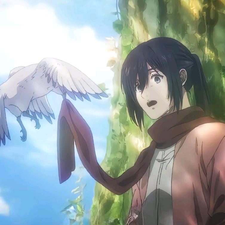 MIKASA