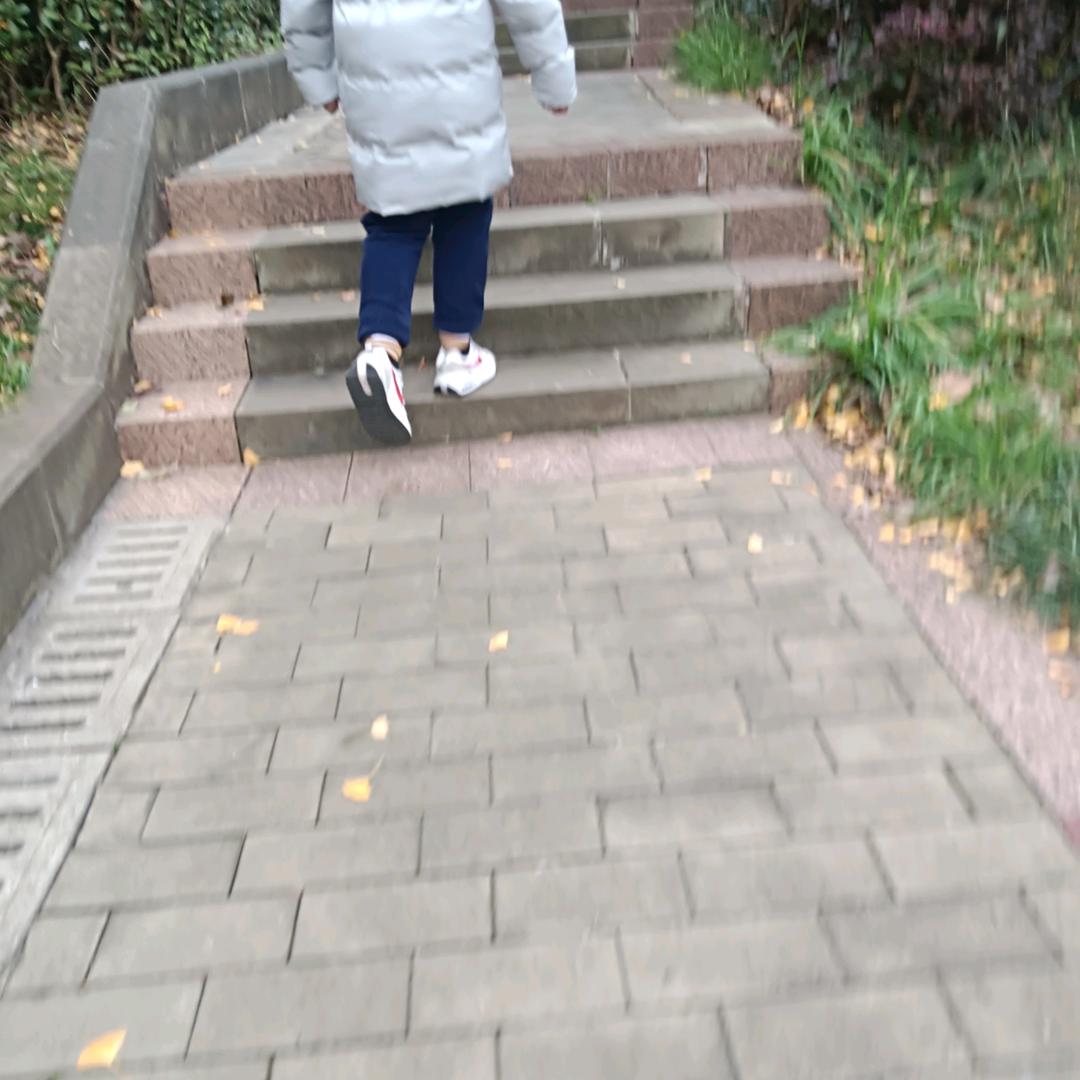 蓝道风云