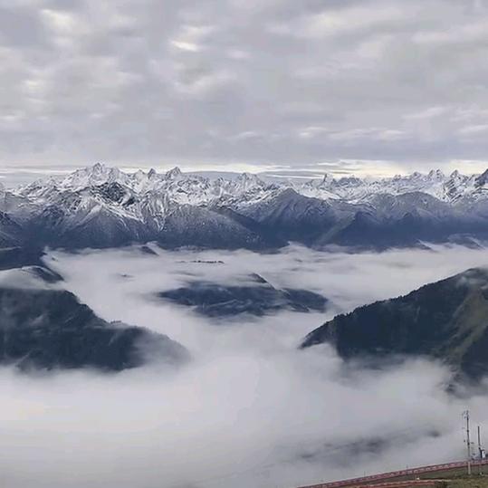 এ⁵²º᭄雪狼ღ᭄ꦿ¹₃¹₄