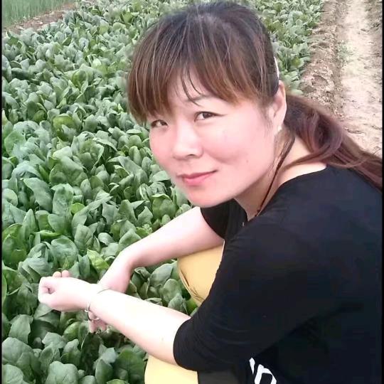 英子姐(下午4点20分开播号在主页）