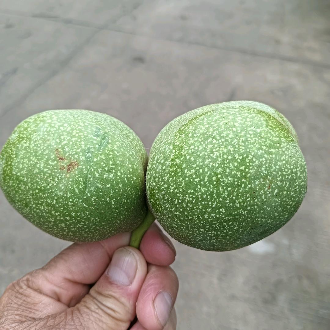 胜