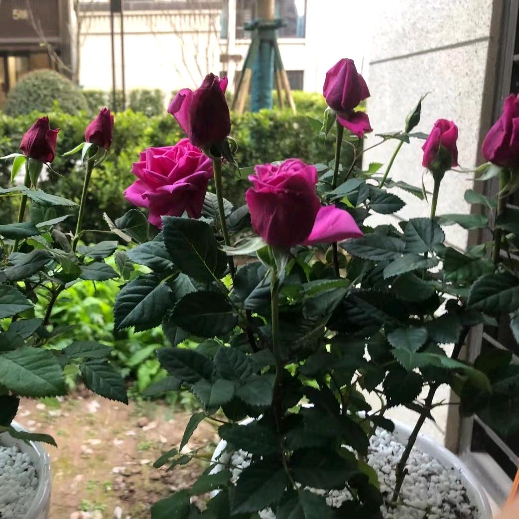 回忆💞