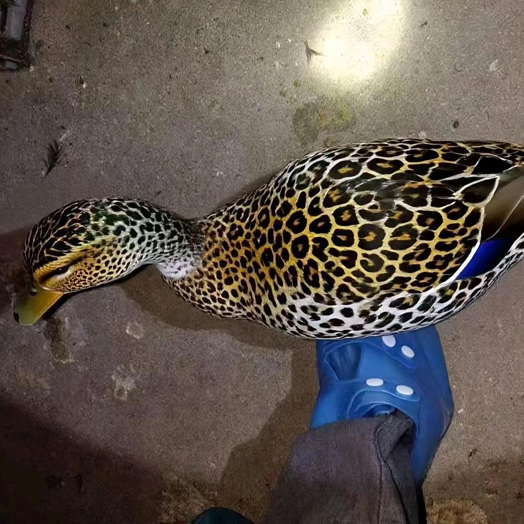 一站阳光