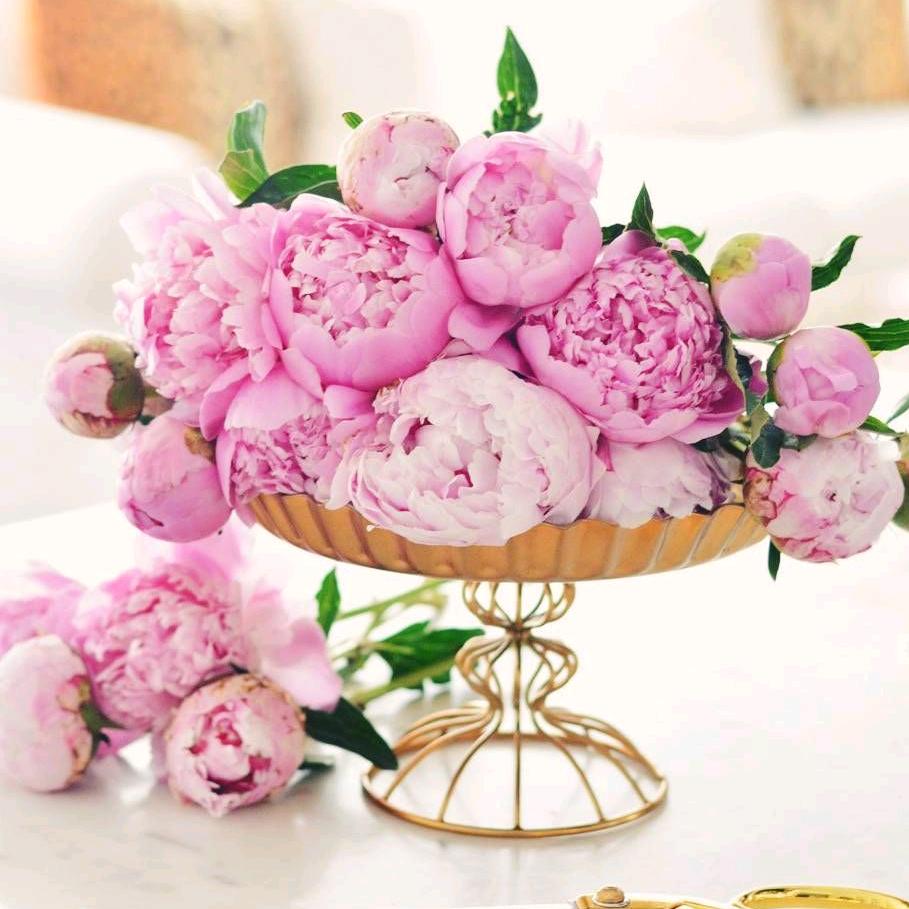 💖💜快樂無憂💜💖