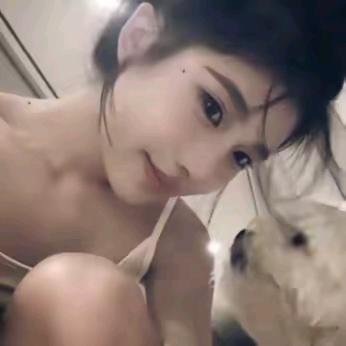 安心小红娘3.0