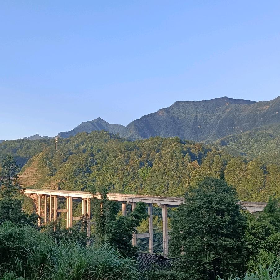 洪哥