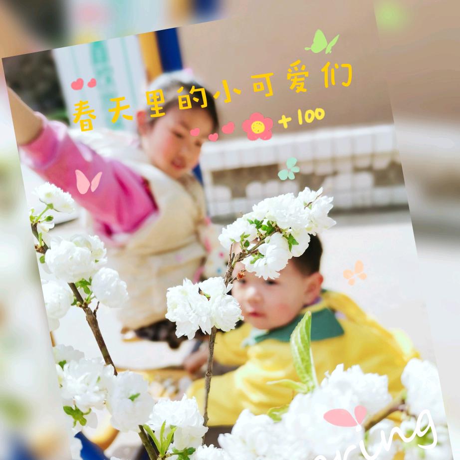 婷宝