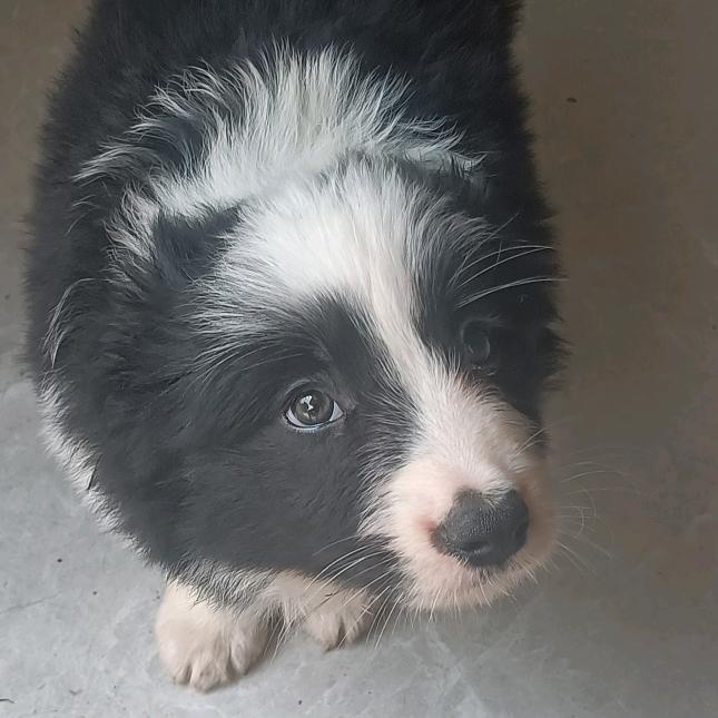 孤独