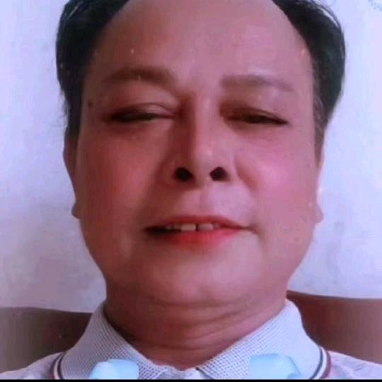 会飞的鱼