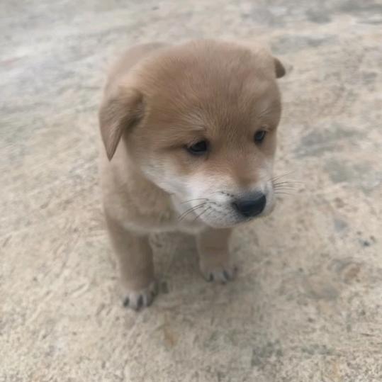 扣提醒我一下