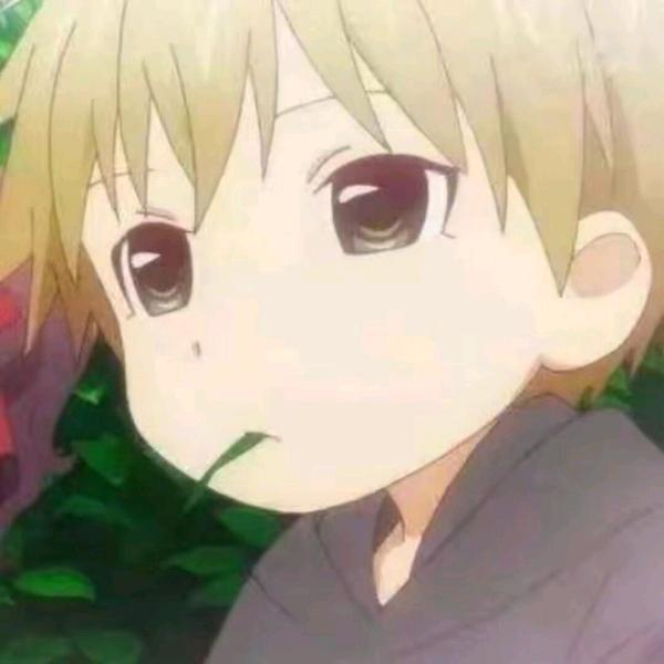 顶