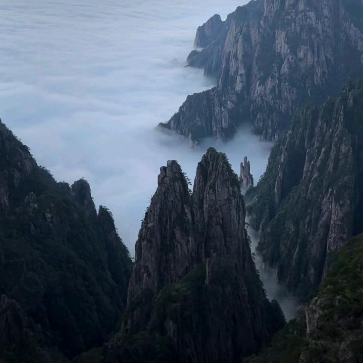 自由万岁℃