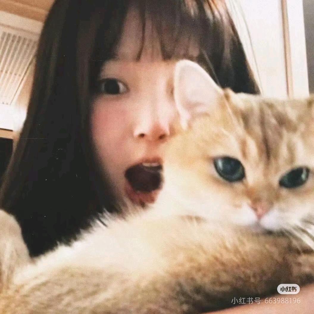 奶茶不加冰🧊