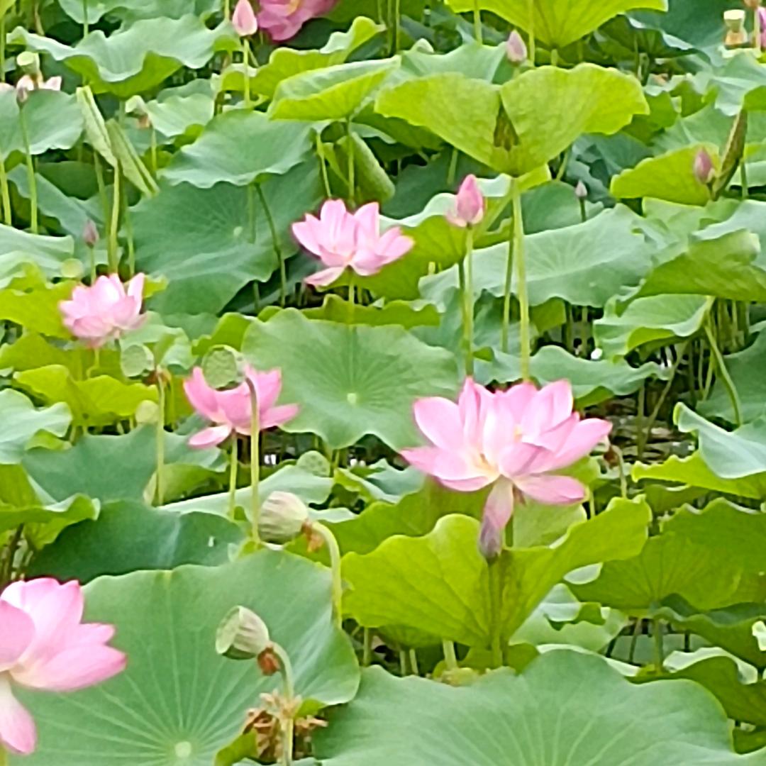 余生幸福