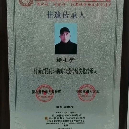 风尘🐍