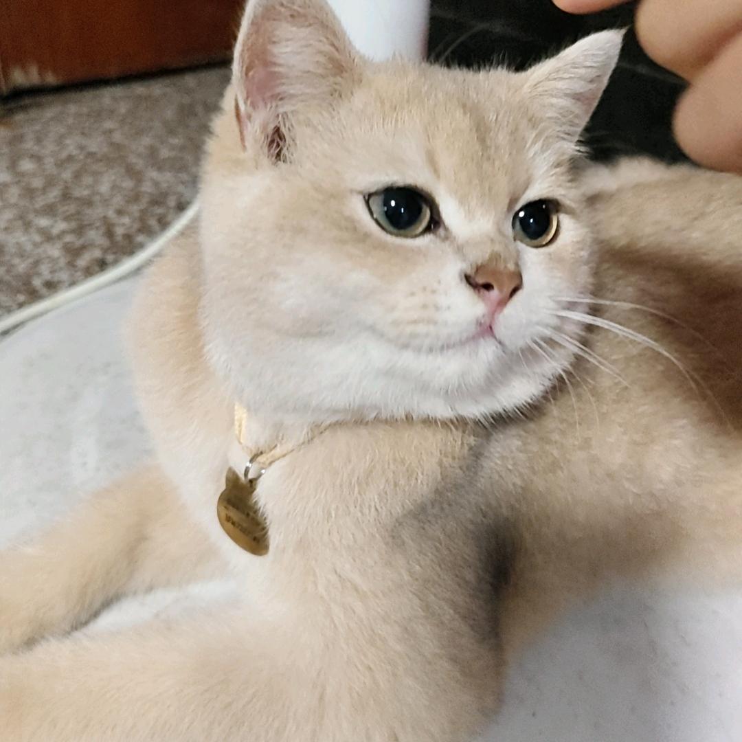 着迷