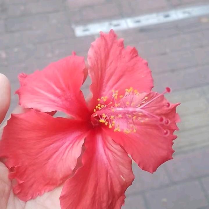 不记过往，不惧未来从此安好！！