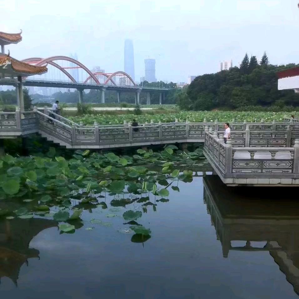 土狗养殖