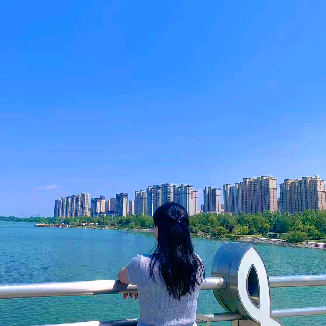 迷了鹿.