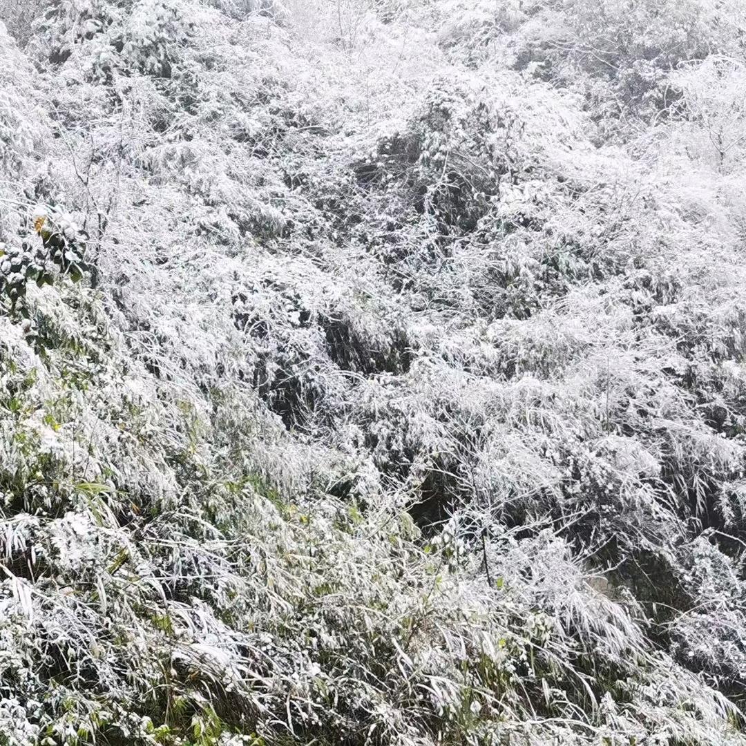 埖埖世界萬只属于你