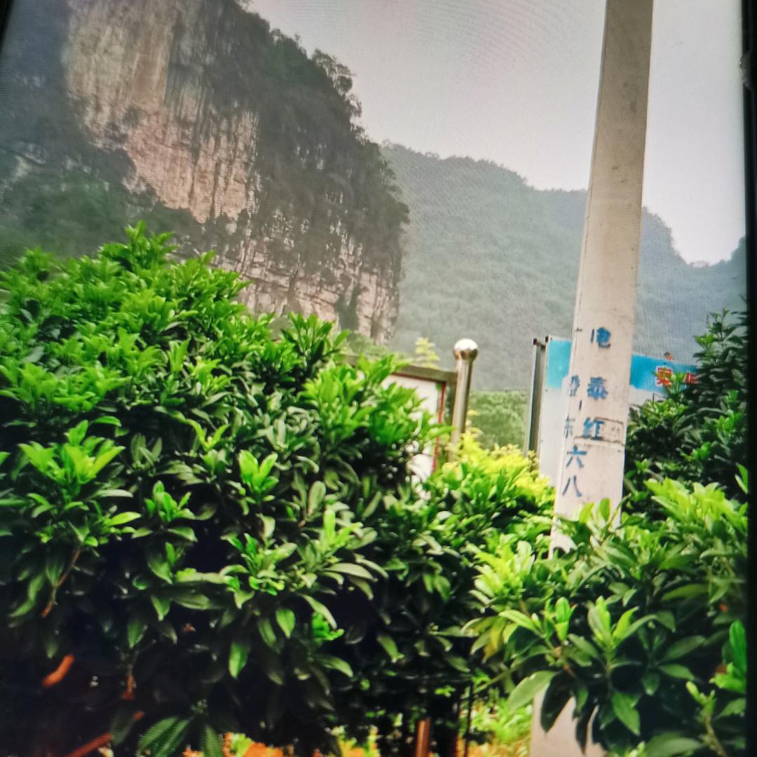 爱的永恒